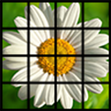 Photo Puzzle أيقونة