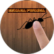 Esmaga formiga(Ant Smasher) 아이콘