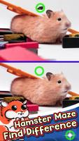 Hamster Maze Find The Differences capture d'écran 3
