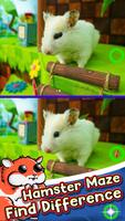 Hamster Maze Find The Differences ảnh chụp màn hình 1