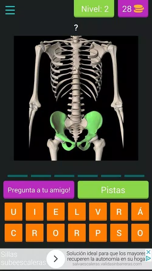 ANATOMÍA Quiz