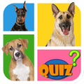 Quiz Razas de Perros