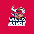 Bullis Bande icon