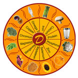 Diet Kundali- Food calorie calculator