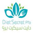 Diet Secret Pro KW ikona