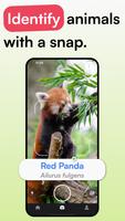 Animal Identifier - iSpecies পোস্টার