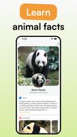 Animal Identifier - iSpecies স্ক্রিনশট 1