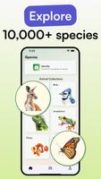 Animal Identifier - iSpecies স্ক্রিনশট 2