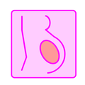 Pregnancy calculator