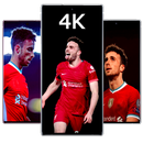 Diogo Jota wallpaper APK