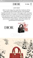 DIOR скриншот 1