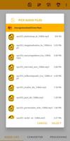Audio Format Converter 截图 1