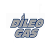 DiLeo Gas ikon