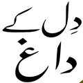 Urdu Novels offline Reading