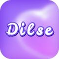 Dilse - Live Chat & Connect