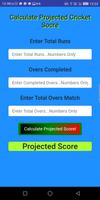 CRICKET SCORE CALCULATOR capture d'écran 2