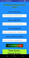 CRICKET SCORE CALCULATOR screenshot 3