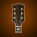 Acoustic Guitar Tuner
