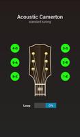 Poster Acoustic Guitar Tuner