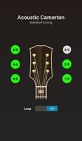 Acoustic Guitar Tuner ảnh chụp màn hình 1
