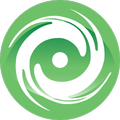 MECT
