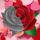 After Valentine Day - Rose & L APK