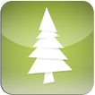 Christmas Tree HD