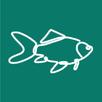 FishSight - Fish Identifier APK