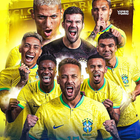 Brazil Team Wallpaper HD 4K icône