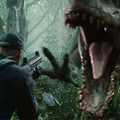 Wild Animal Hunting