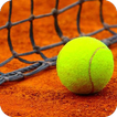 Tennis per Passione biểu tượng