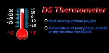 Real Mercury Thermometer