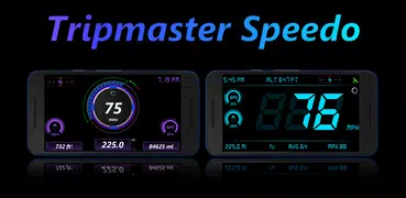 DS Speedometer Custom