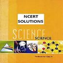 Class 10 Science Solutions APK
