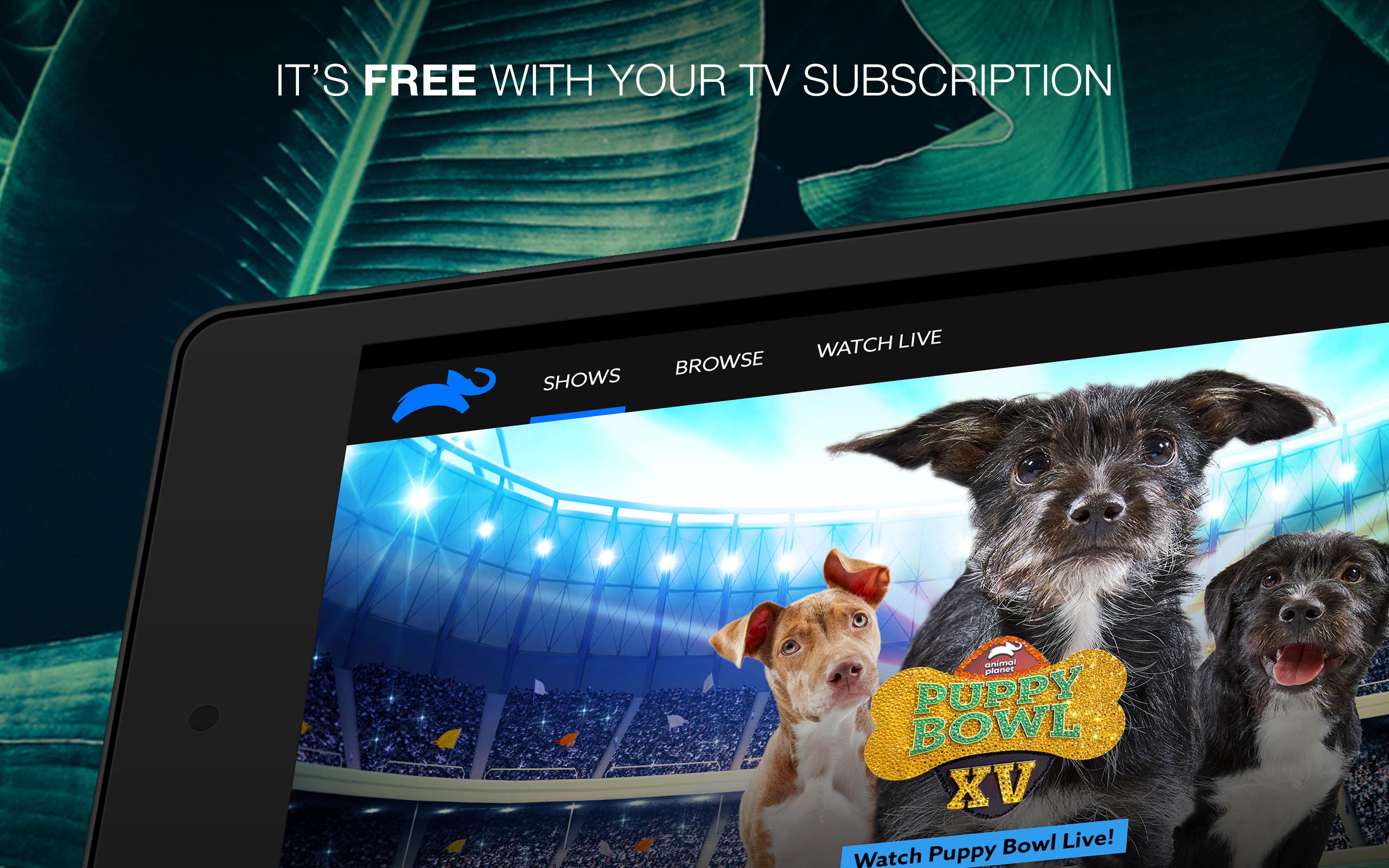 animal planet games free download