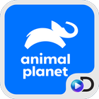 Animal Planet Brasil иконка