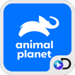 Animal Planet