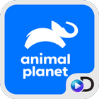 Animal Planet иконка