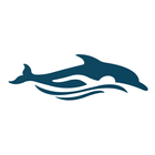 Discovery Cove icon