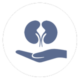RenalSense icon
