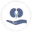 RenalSense: Kidney Care App aplikacja