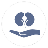 RenalSense: Kidney Care App