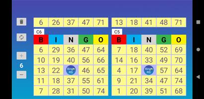 Cartones Bingo RS captura de pantalla 2