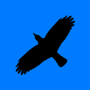 Condor Operations - Blue APK