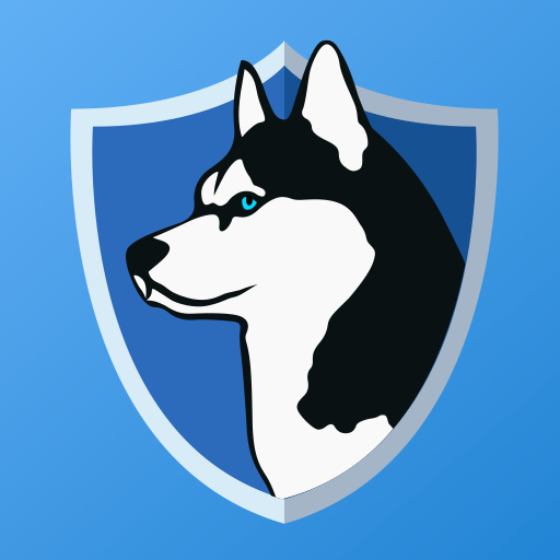 Phone Guardian VPN Datenschutz