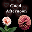 Good Afternoon Images Stickers