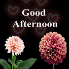 Good Afternoon Images Stickers GIF Wishes آئیکن