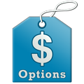 Options Pricing Suite