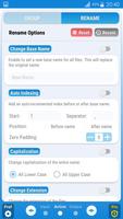 Bulk Rename 截图 1