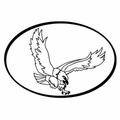Eagle Security